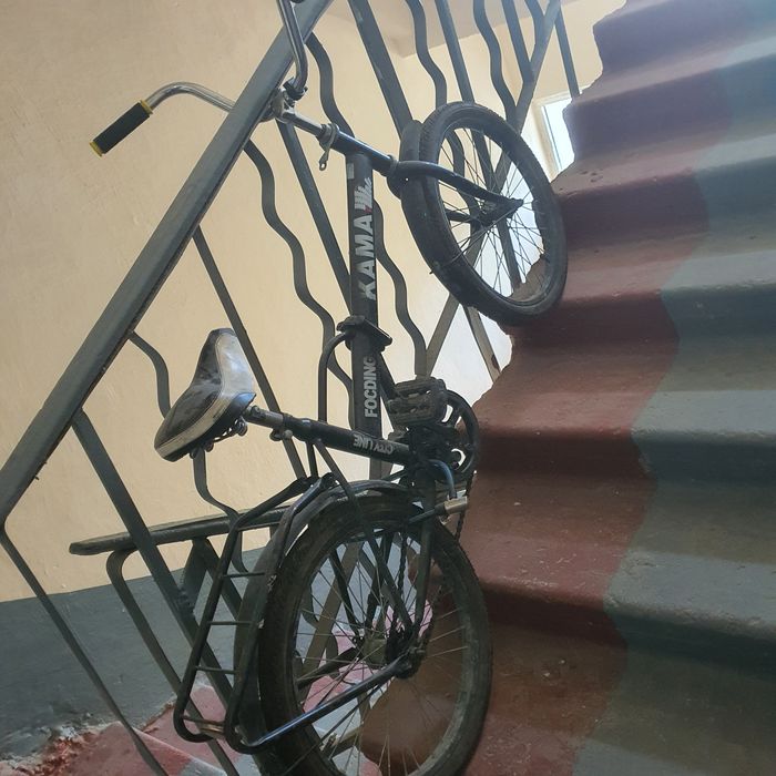 Velik 24 talek sotiladi