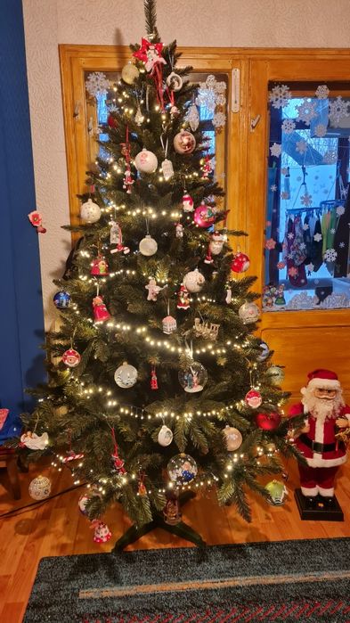 Vând brad de Crăciun