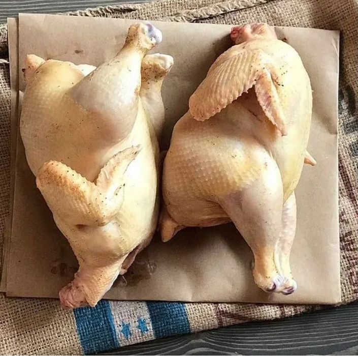 Продам домашних кур