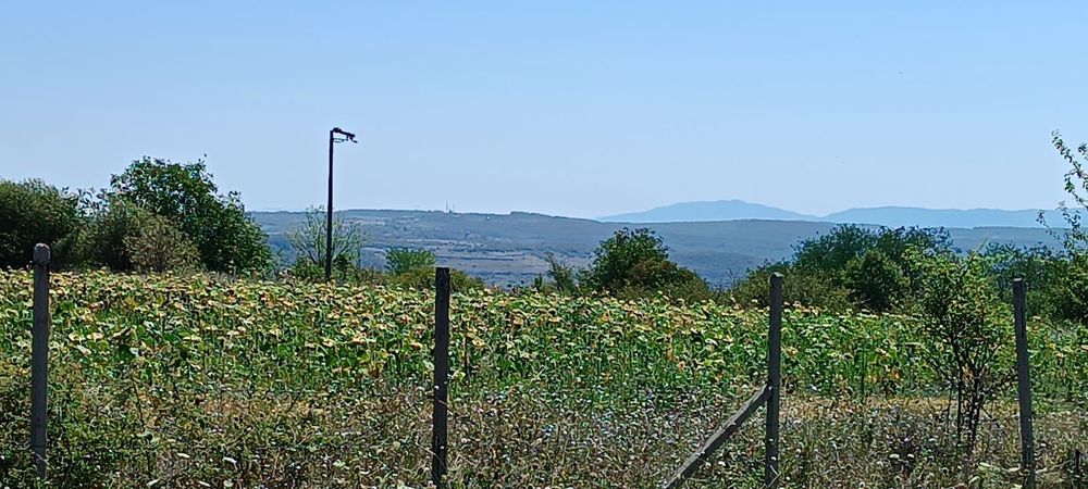 Продава се Парцел в Велико Търново, Картала - 2696 кв.м за 7 €/кв.м - Снимка #4