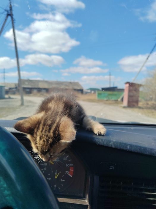 Мерседес 190 в отличном состоянии