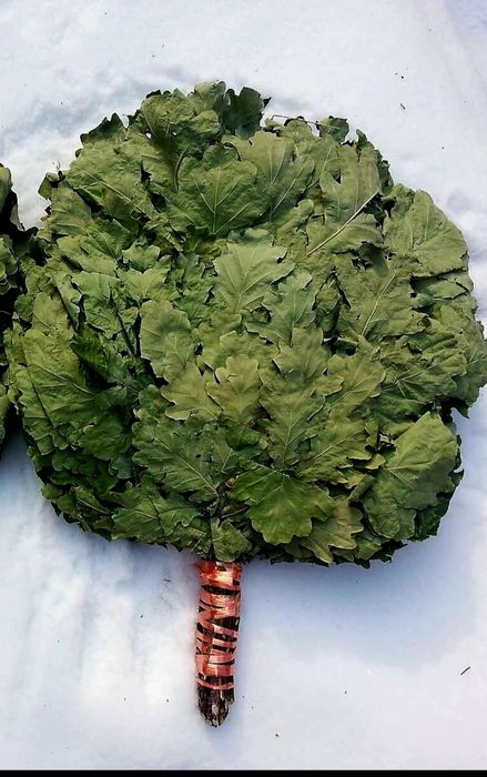 Веник дубовый и берёза + Доставка