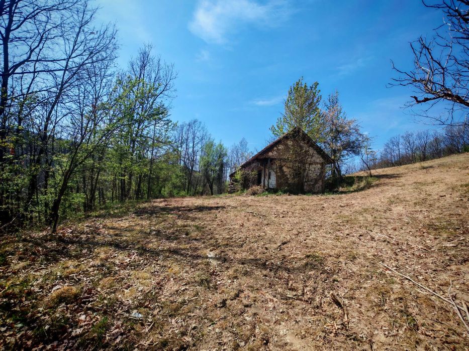 Pășune cu pădure 5.5 ha sat Dumbrăvița Com Barzava