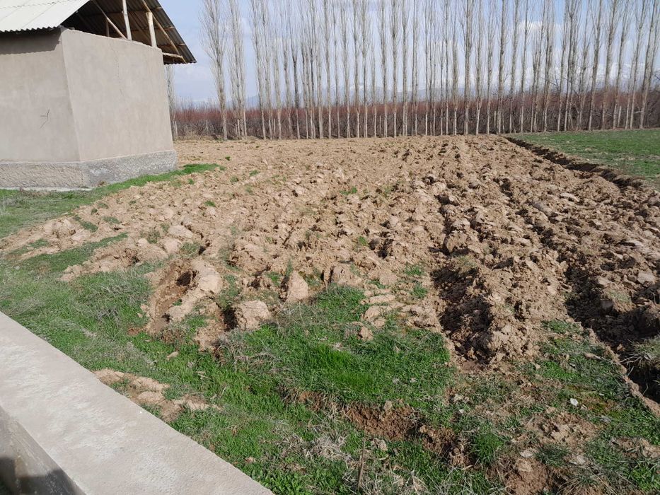 Участка сотилади 15 сотих