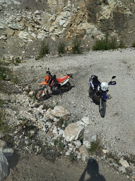 Рейсер пантера 250