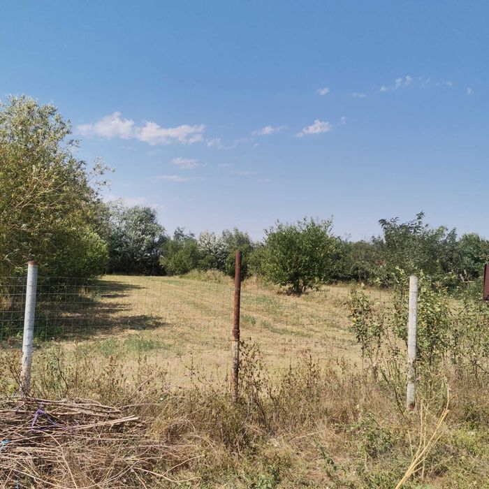 Teren Intravilan Braniștari – 1.000 mp | Utilități + Asfalt