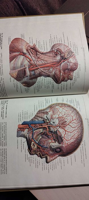 Атлас по анатомияна човека Синельникови 1,2 и 3 том
