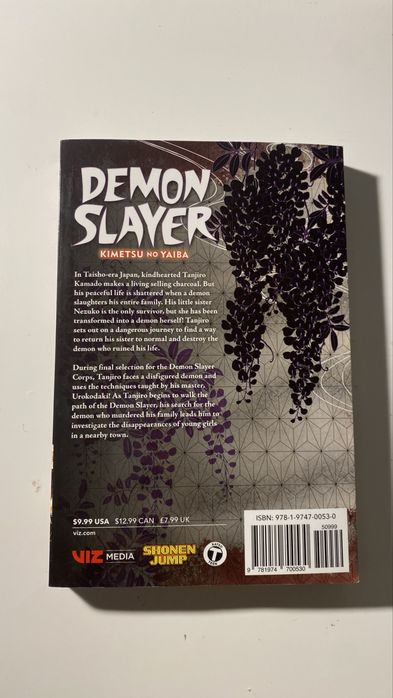Manga demon slayer volumele 1-4