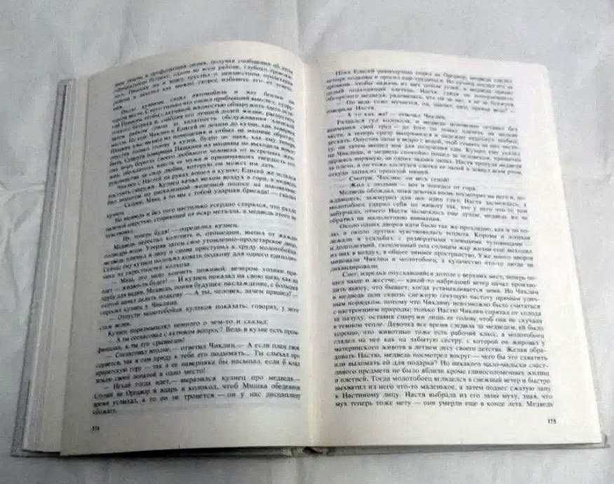 А. Платонов - Государственный житель