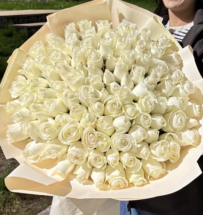 цветы 101 шт розы белые