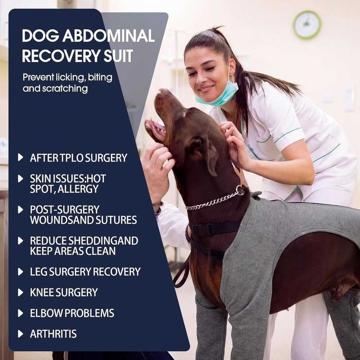 IECOii Костюм за възстановяване след операция за кучета с дълъг ръкав