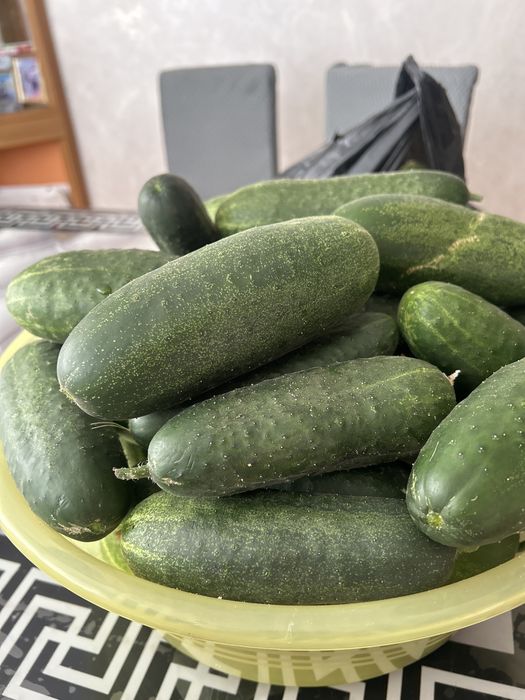 Продам огурцы домашние