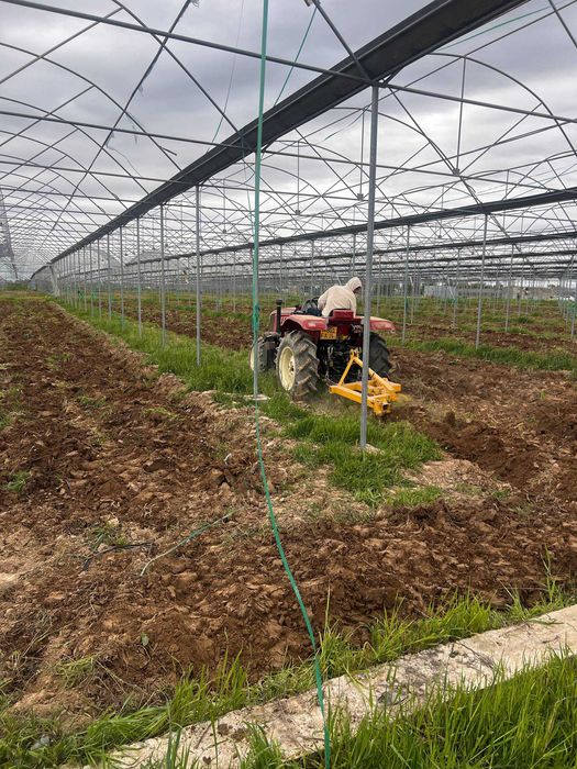 Чиноз туманида 1 гектар теплица сотилмоқда