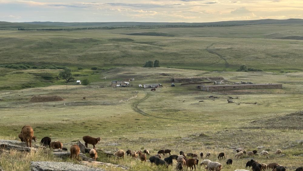 Продам крестьянское хозяйстсо