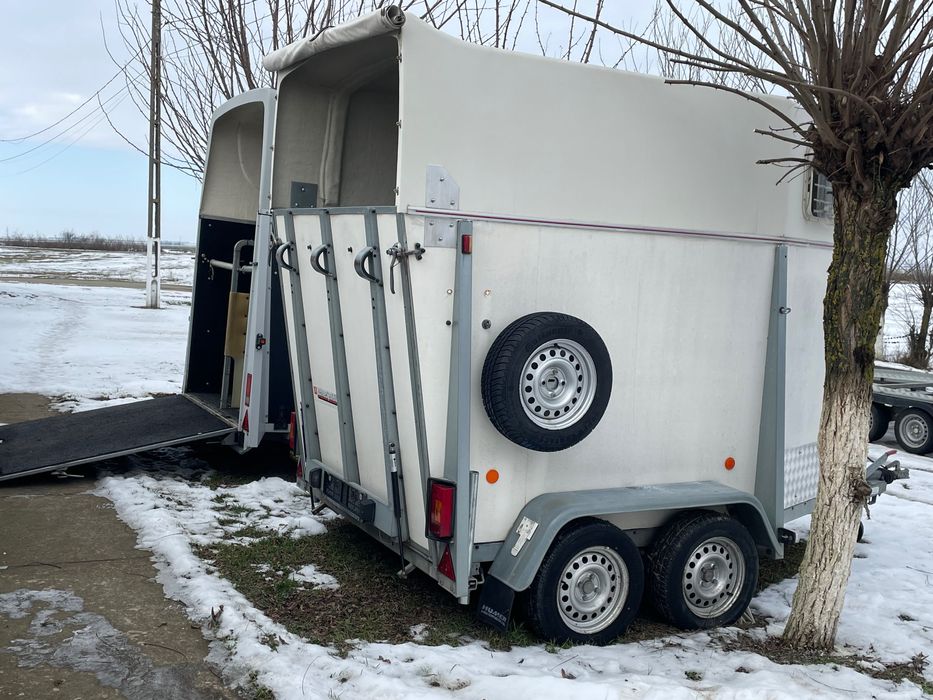 Două remorci transport cai / brederup / humbauer