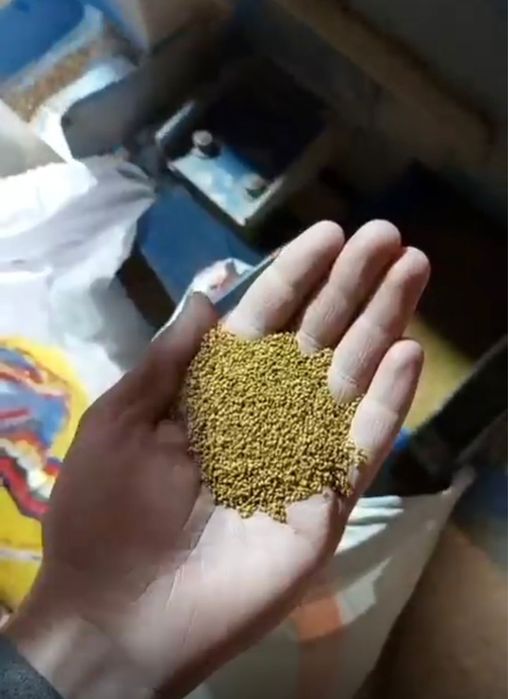 Жонышқа ұрық сатылады