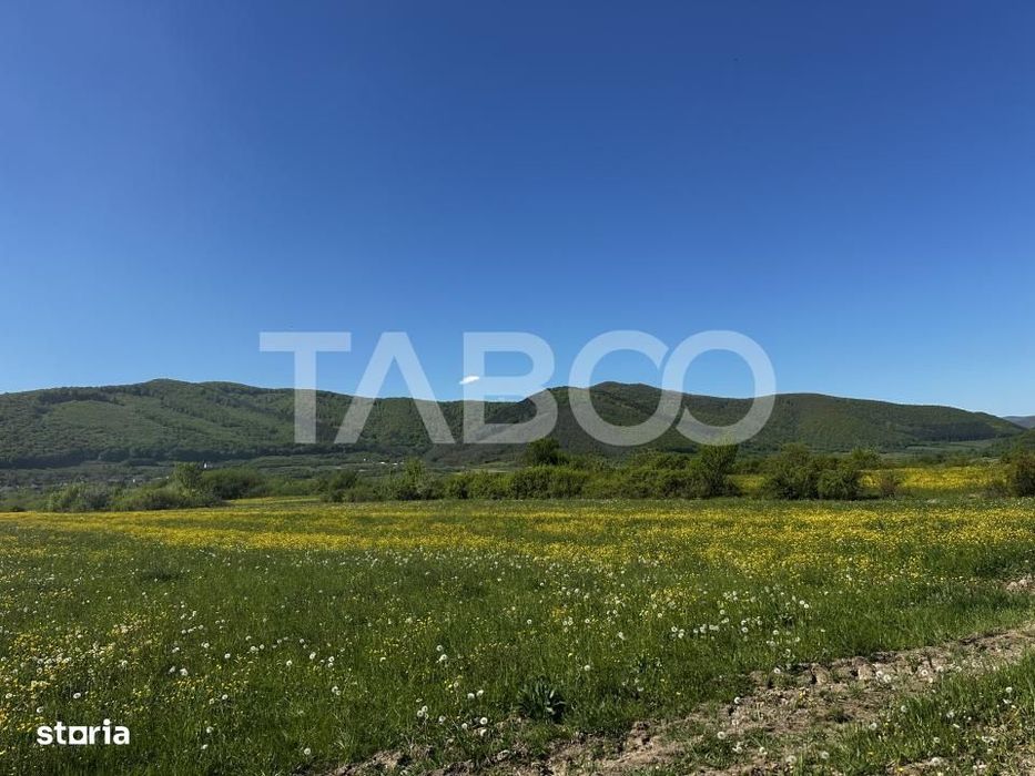 Teren intravilan pretabil cabana cu vedere la munti in Poplaca
