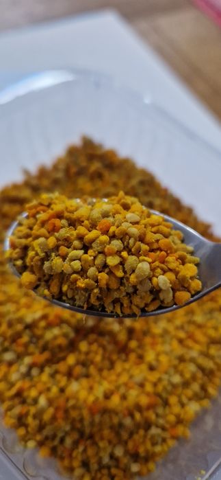 Polen crud din primavara 2025 pomi fructiferi