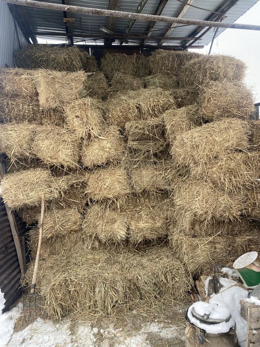 Продам сено разнотравье
