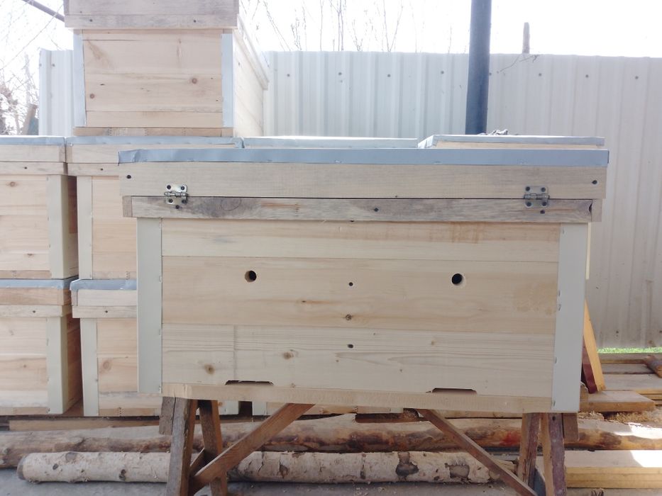 Asalari yawiklari sotiladi 14 16 ramkalik 350 ming va 20 ramkalik  3 l