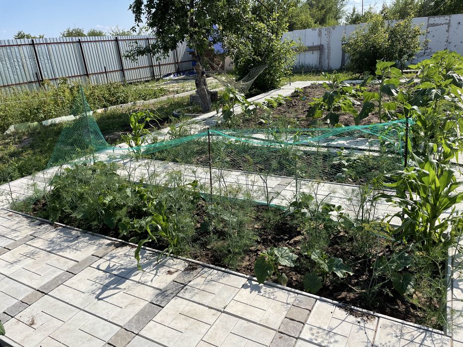 Продам дачу в СО Дархан