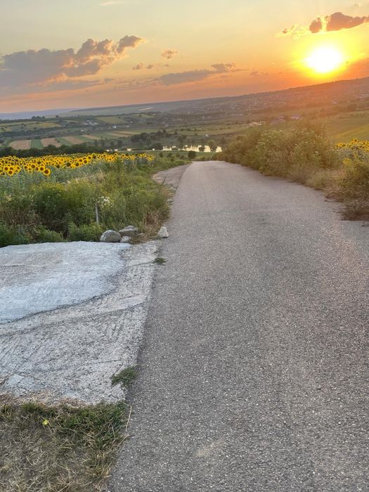 Teren intravilan ,Barnova ,Iași, 834 mp, priveliste panoramica deosebita,langa padure!