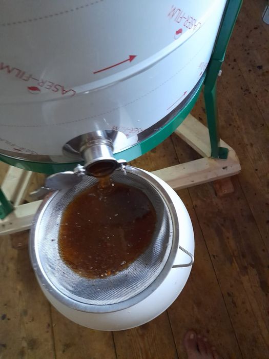 Vând miere de mană și salcâm, en gros, la butoi 40 kg