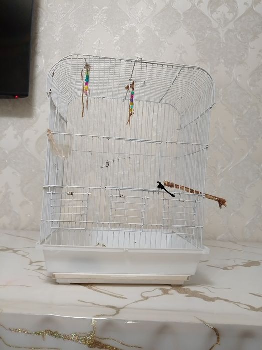 Новая клетка лудший