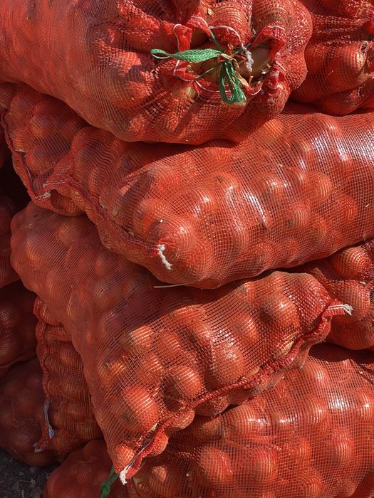 Продам лук, мешок стоит 2500