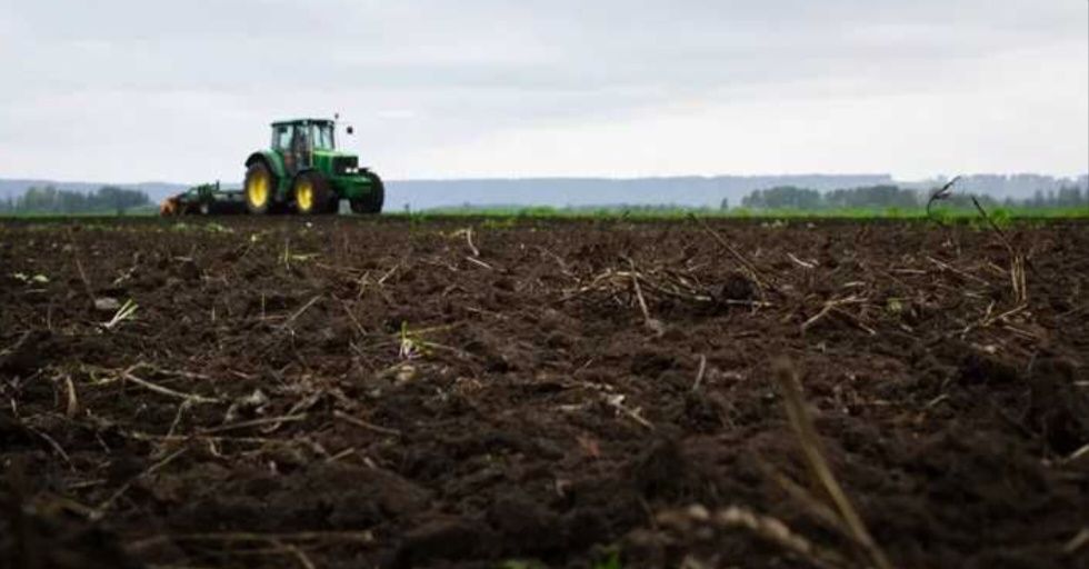 Сельское хозяйство