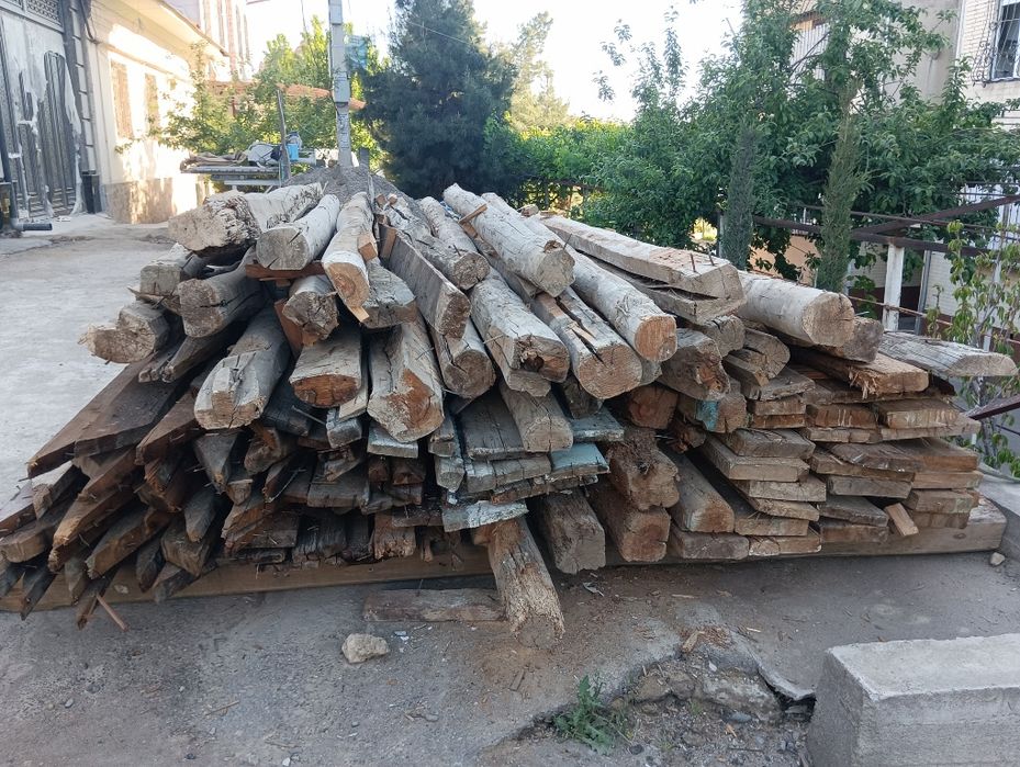 Тахта,Тўсин Чўрнийлар бор.