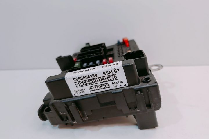 Panou Sigurante  BSM 9650664180 Peugeot 307 prima generatie seria