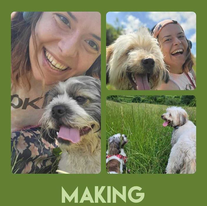 Pesitting/Pet Hotel/Cazare catei