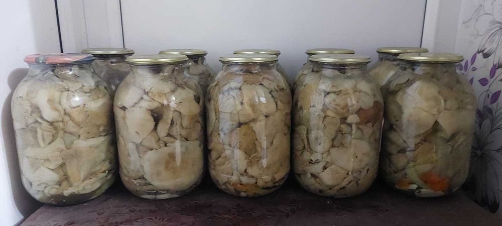Продам солённые грибы - грузди.