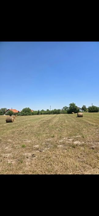 Teren Cadar intravilan