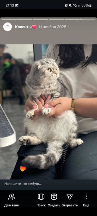 Груминг за 5000 тенге