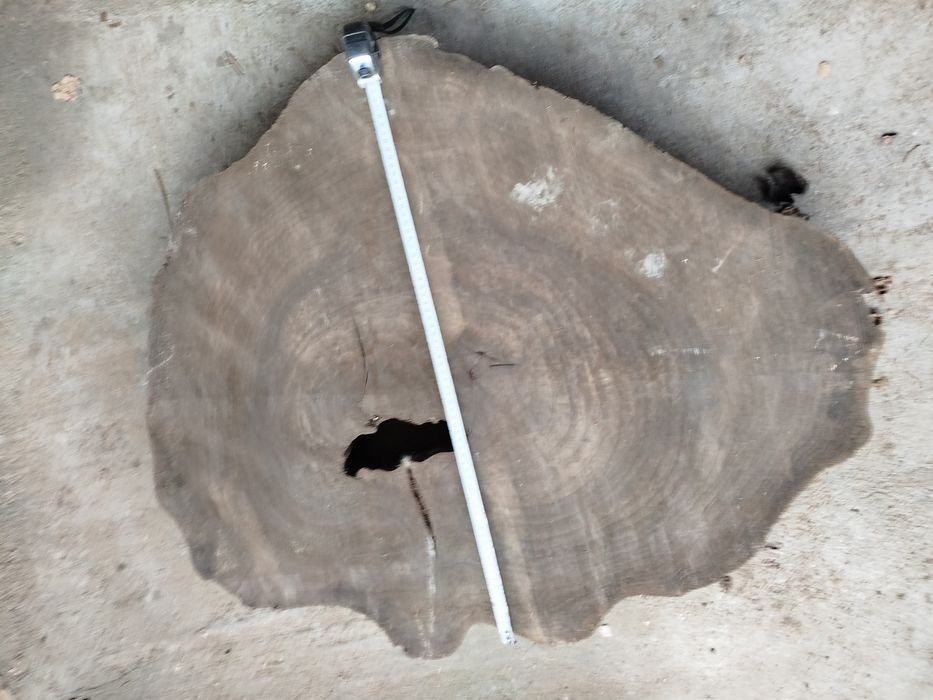 Шайби от корен на орех