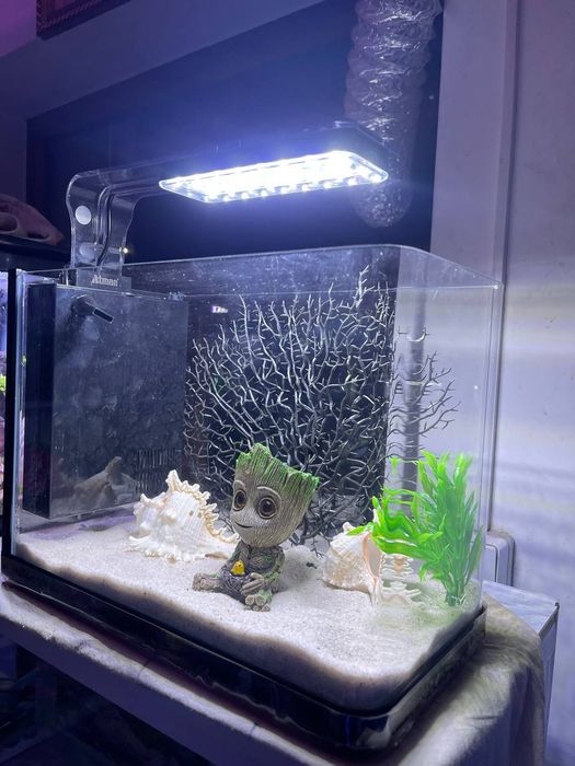 Akvarium Dokoni Sergili va mirobod