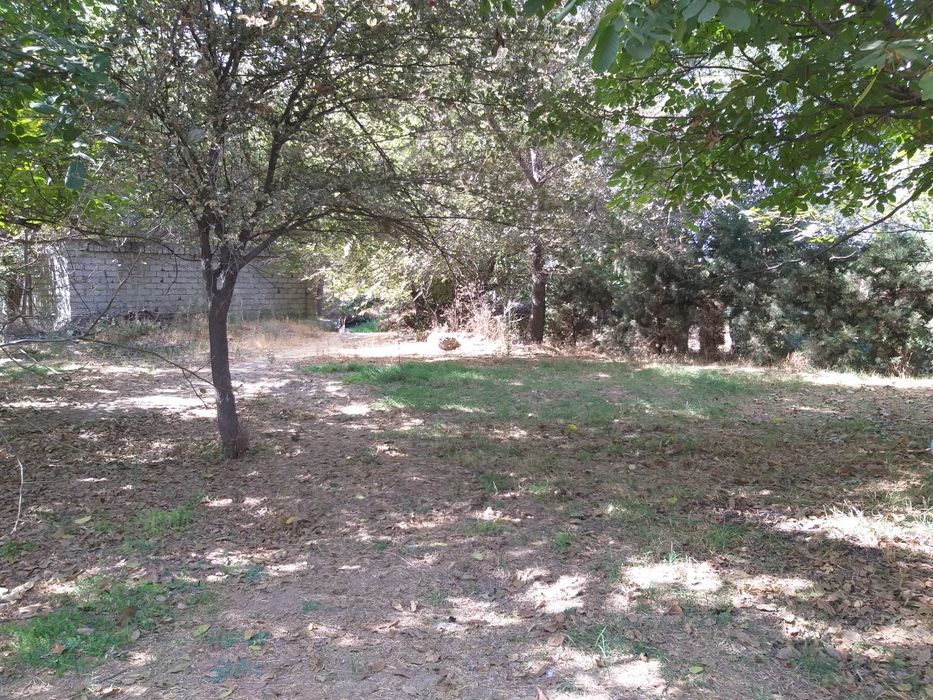 Мирзо-Улугбекский район, Учхоз   1- гектар