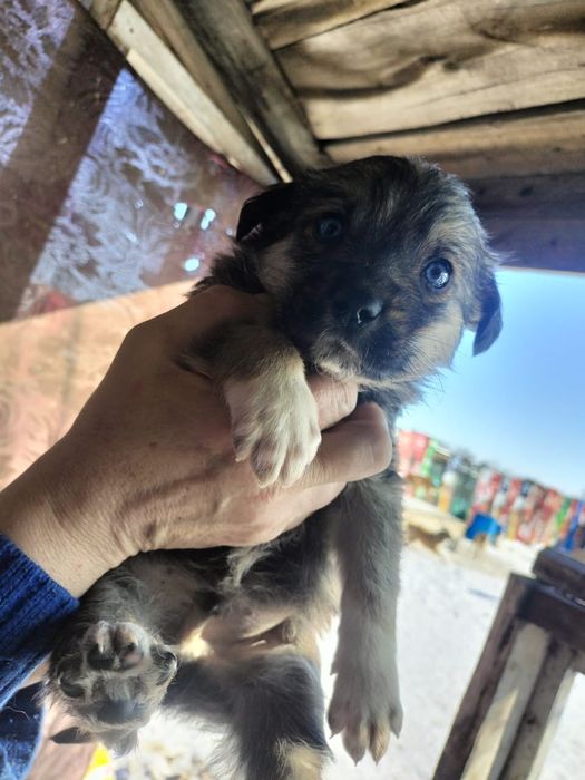 Срочно Ище дом малышам