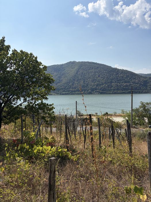 Vand  teren intravilan berzasca dn 57