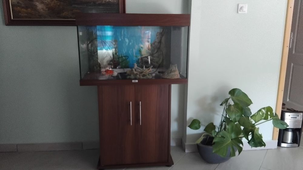 Аквариум за рибки Juwel - 126 литра