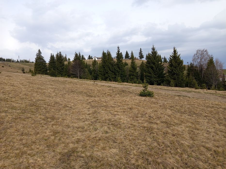 TEREN Tihuța /  jud BN 960 Euro/ar