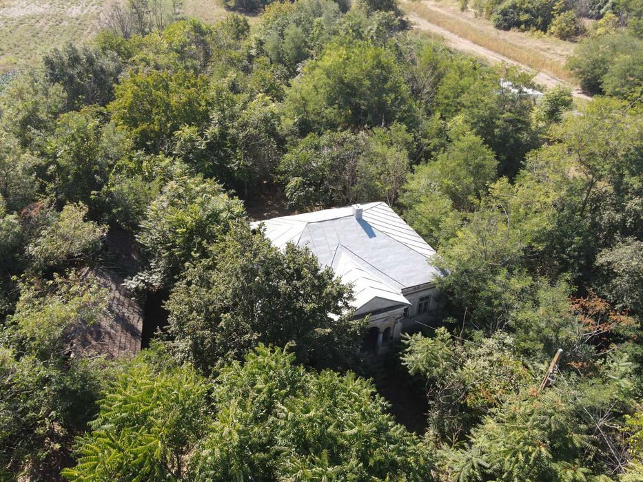 Domeniu 17.800 mp INTRAVILAN - Dobrotești, Dolj
