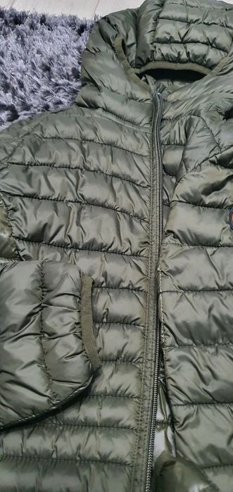 Geagă cu glugă, Napapijri