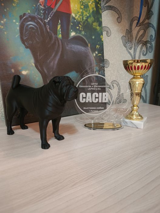 Продажа щенков шарпей