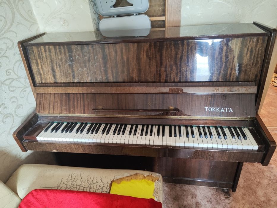 Отдам бесплатно даром