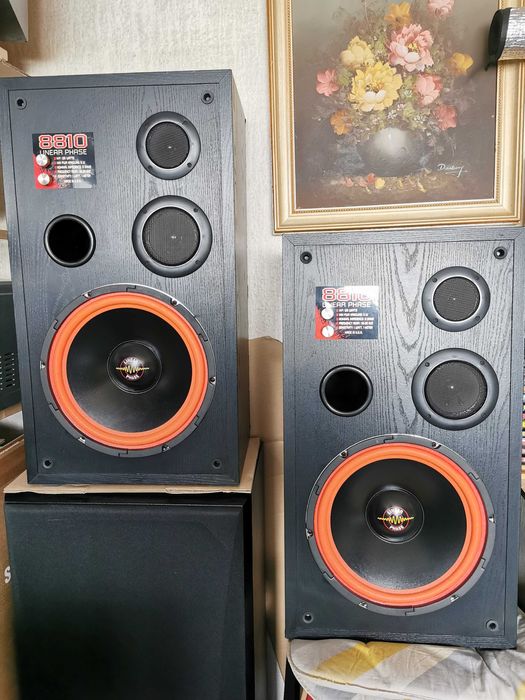 Hifi Тонколони LINEAR PHASE 8810