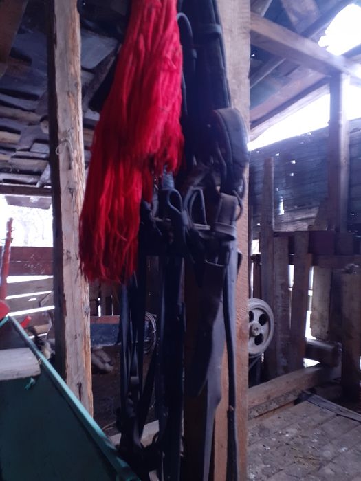 Vând ham pentru cai