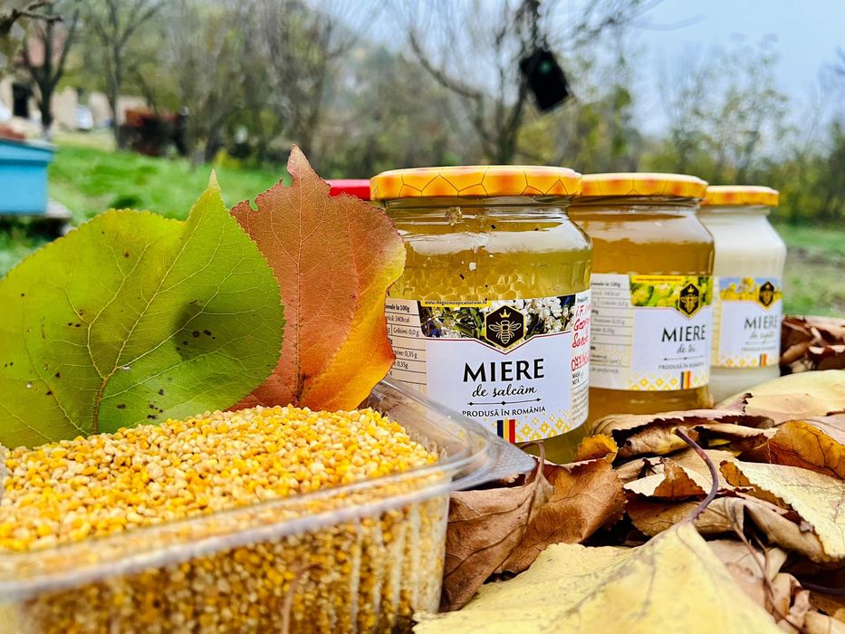 Miere/Polen/Propolis